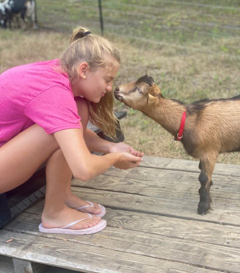 GOAT PLAYTIME & SNUGGLES (all ages 0-110 😁)