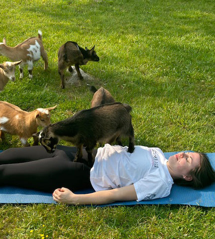 Baby Goat Vinyasa Yoga with Jamie