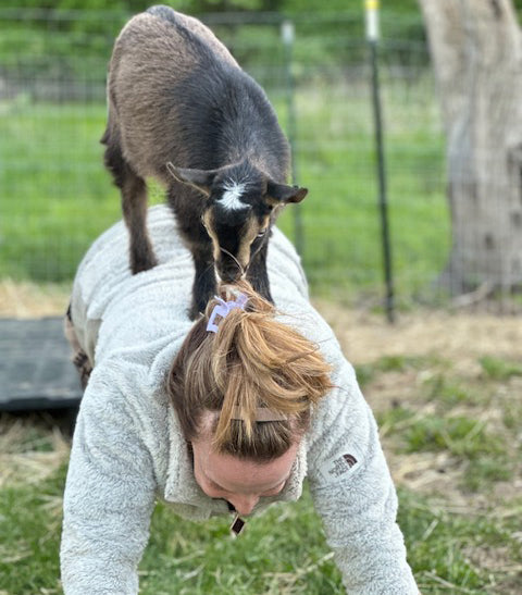 Baby Goat Hatha Yoga with Suzanne